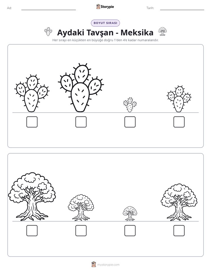 Boy Sıralaması