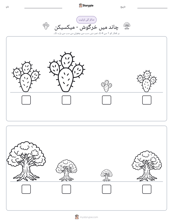 سائز کی ترتیب