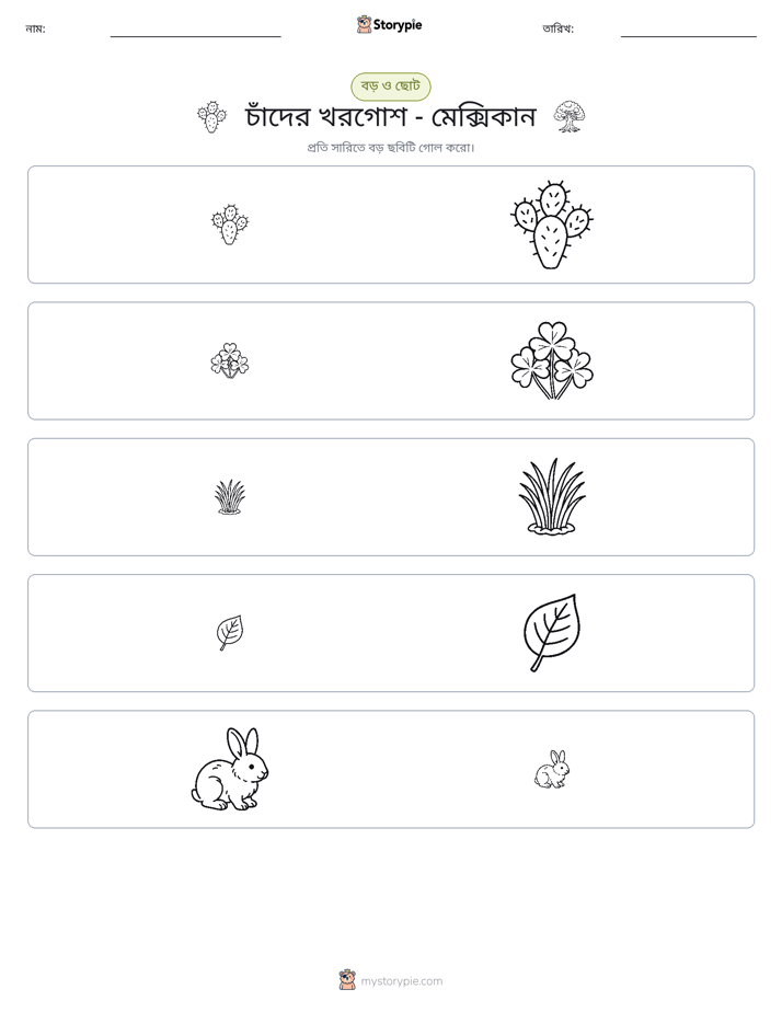 সাজানো