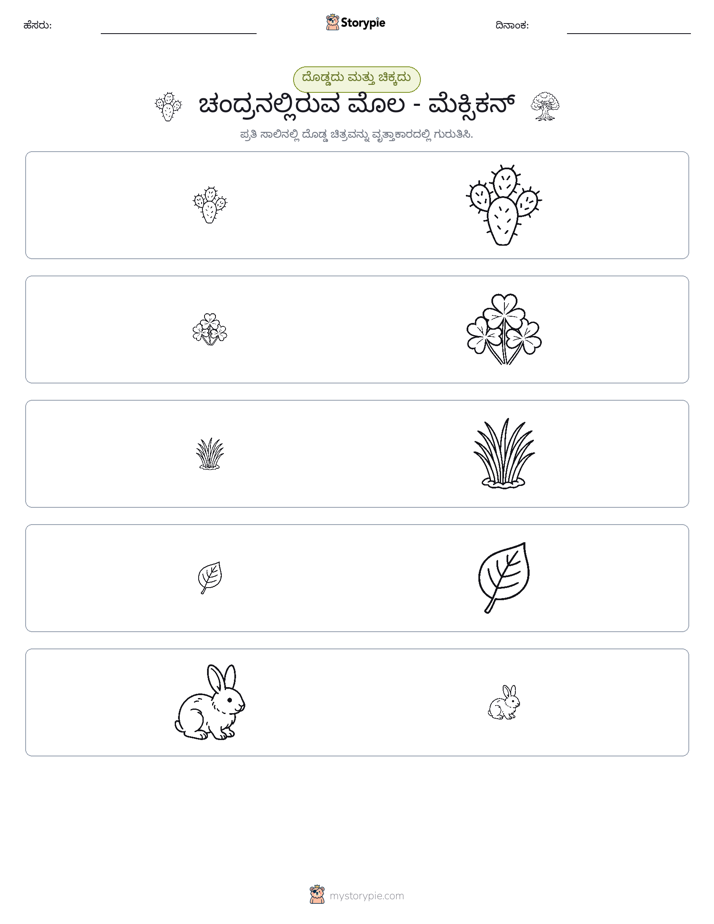 ವರ್ಗೀಕರಣ