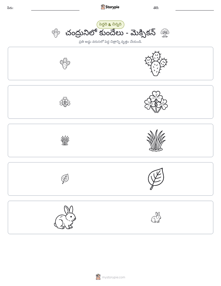 వర్గీకరణ