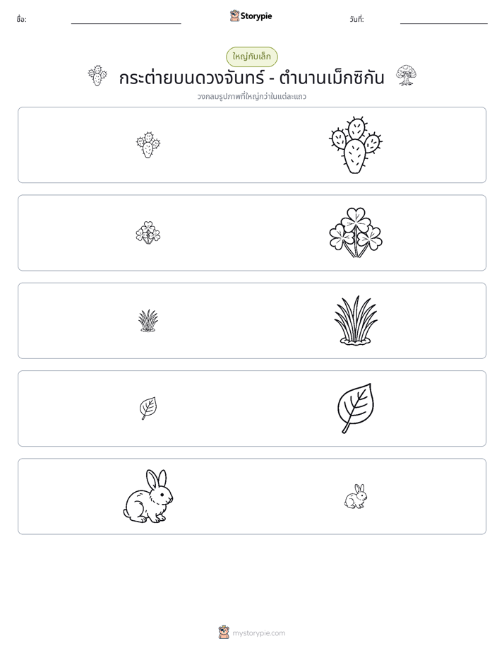 การจัดเรียง