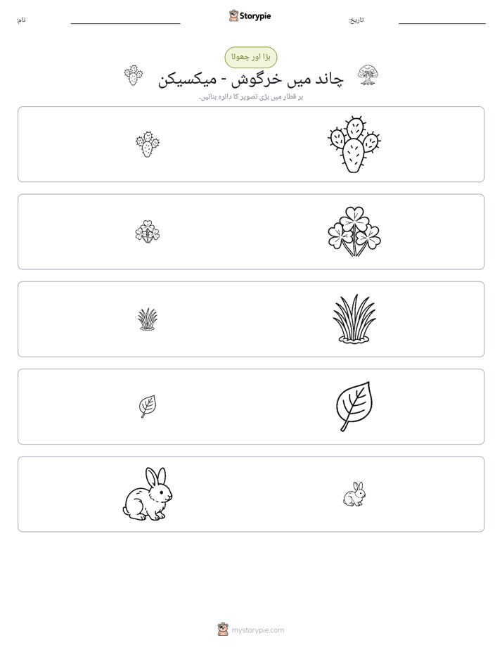 ترتیب دینا
