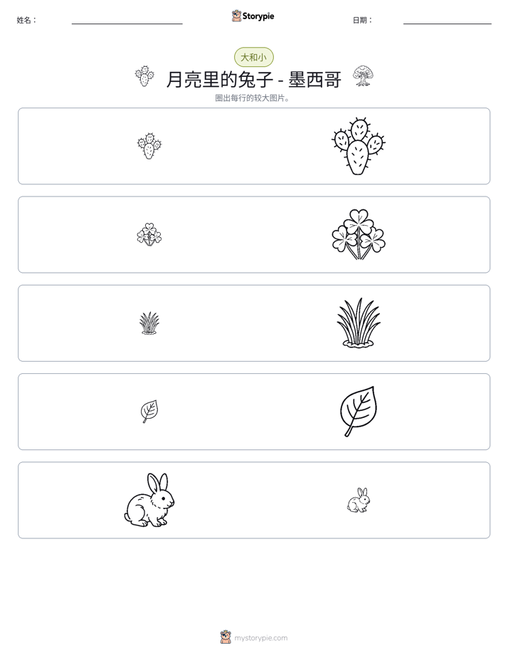 分类