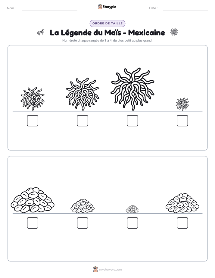 Ordre de Taille