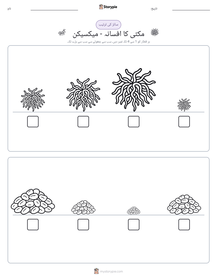سائز کی ترتیب
