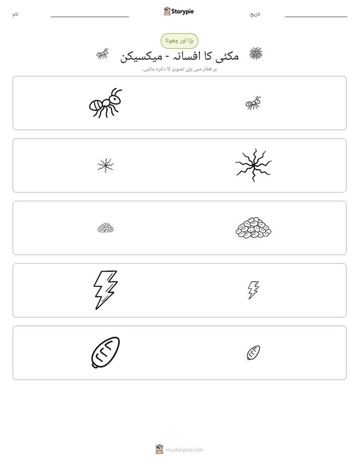 ترتیب دینا