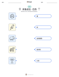 库鲁皮拉 - 巴西 可打印工作表预览