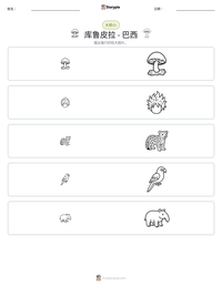 库鲁皮拉 - 巴西 可打印工作表预览