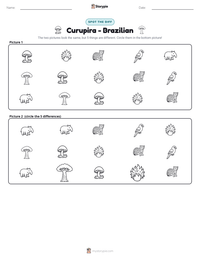 Curupira - Brazilian printable worksheet preview