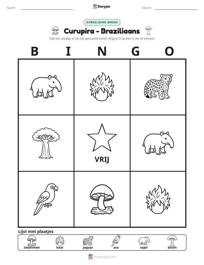Afbeelding Bingo