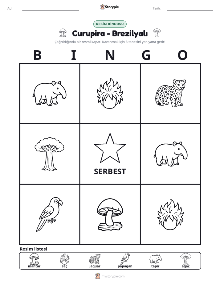 Resim Bingo