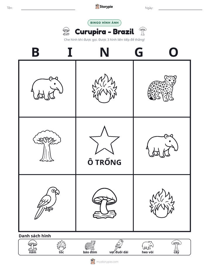 Bingo Hình Ảnh