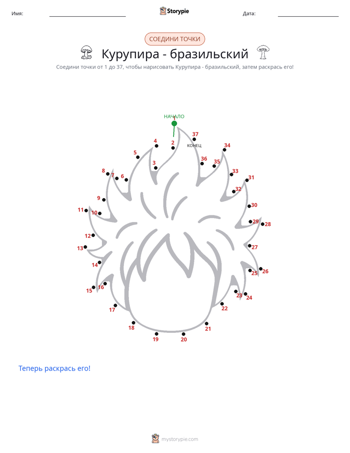 Соедини точки