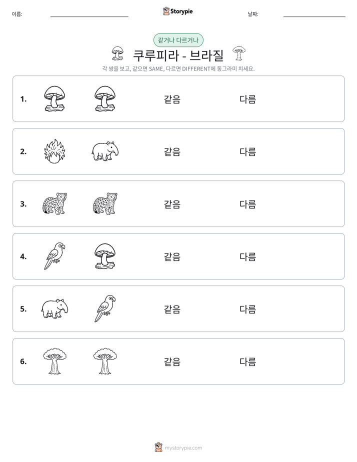 같은 것 또는 다른 것