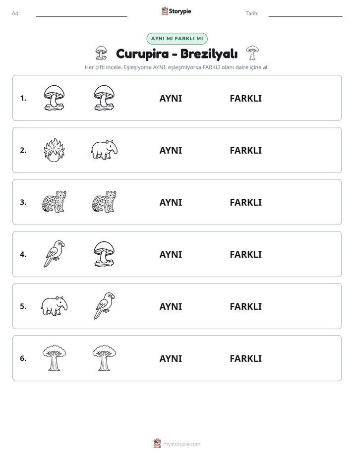 Aynı mı Farklı mı
