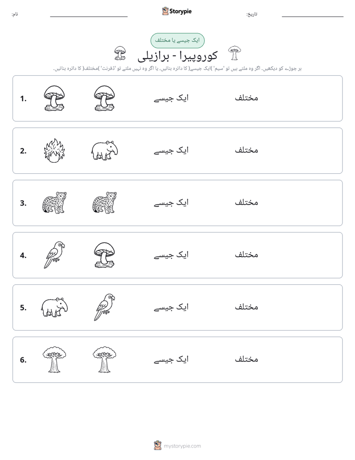 ایک جیسا یا مختلف