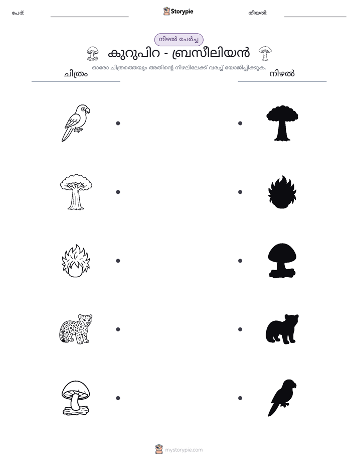ഷാഡോ മാച്ച്