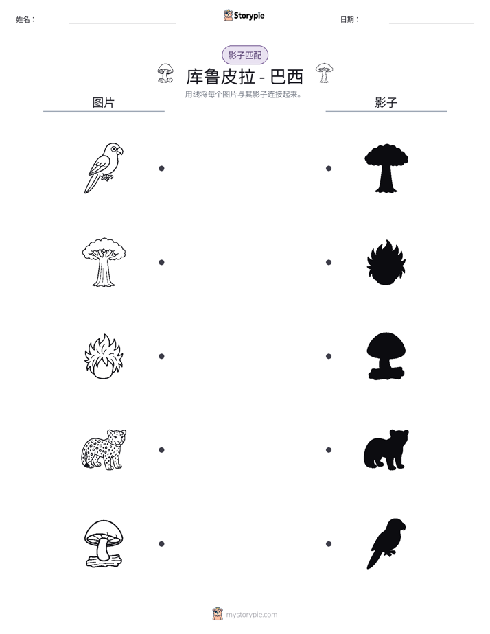 影子匹配