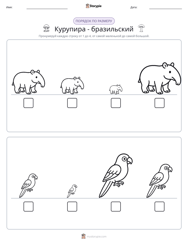 Размеры в порядке