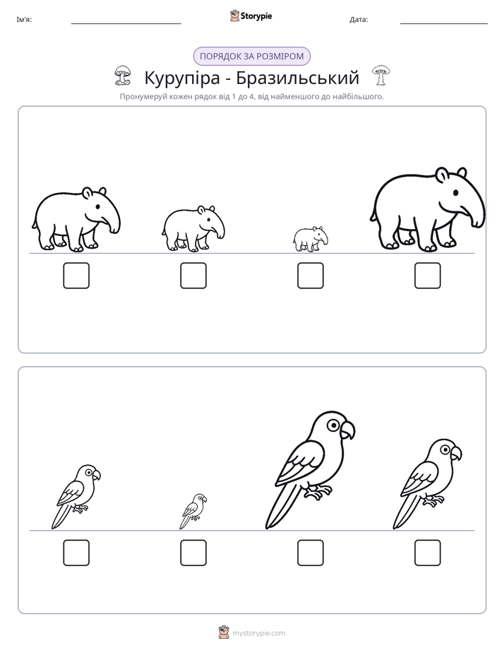 Порядок Розміру