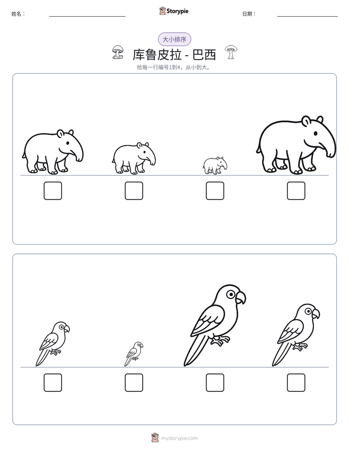 大小排序