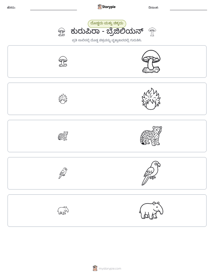 ವರ್ಗೀಕರಣ