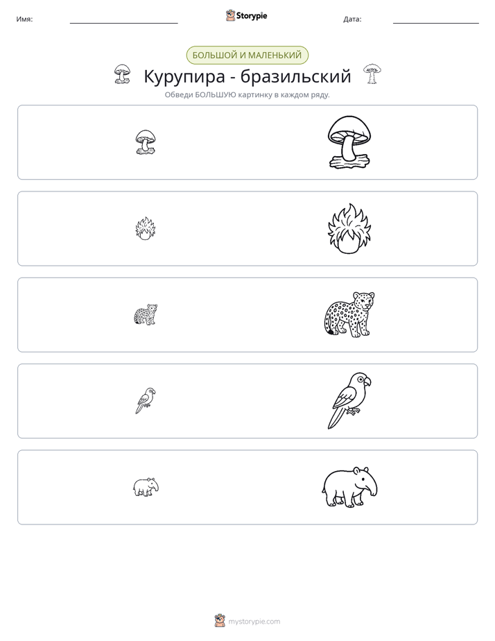 Сортировка