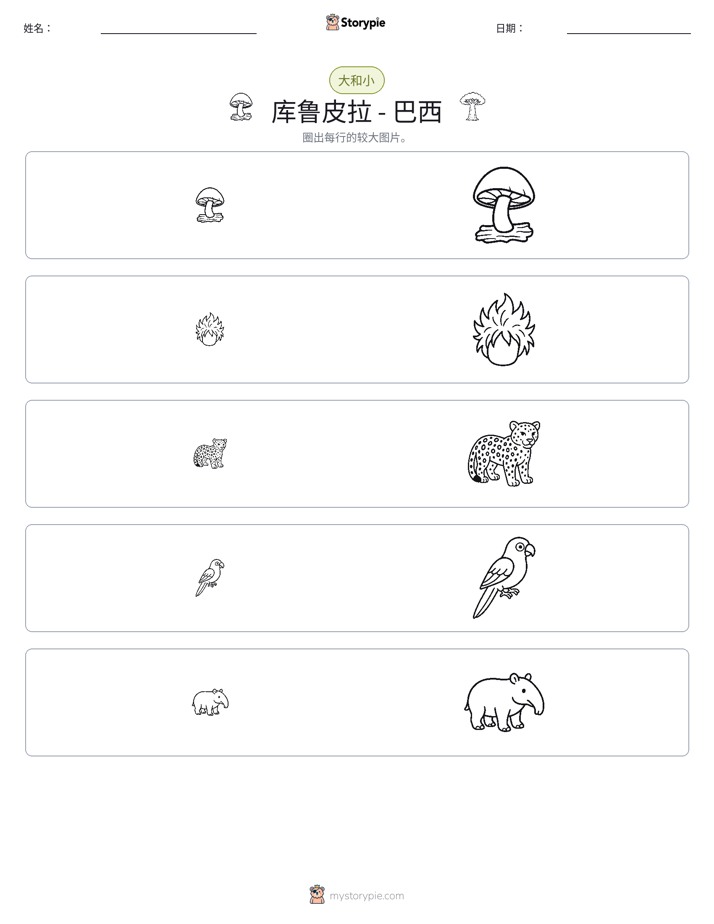 分类