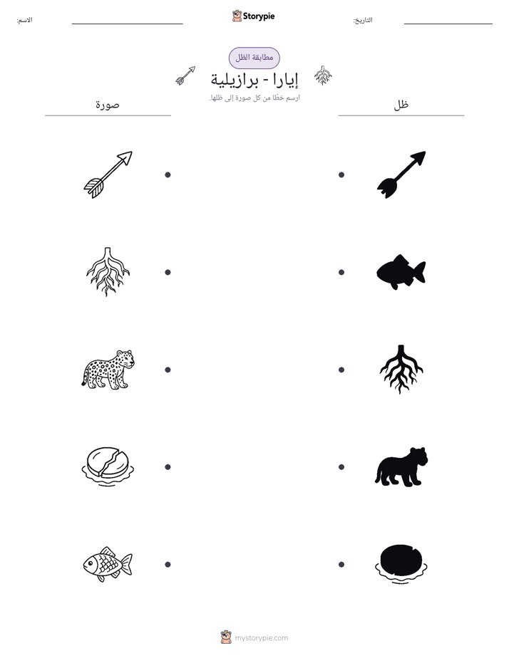 مطابقة الظل