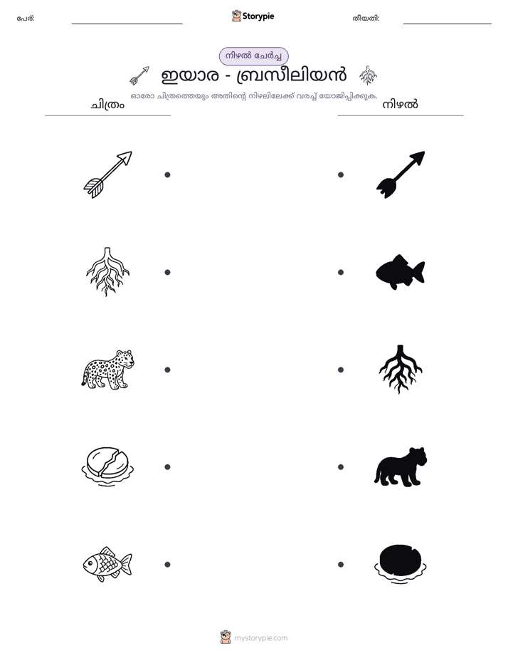 ഷാഡോ മാച്ച്