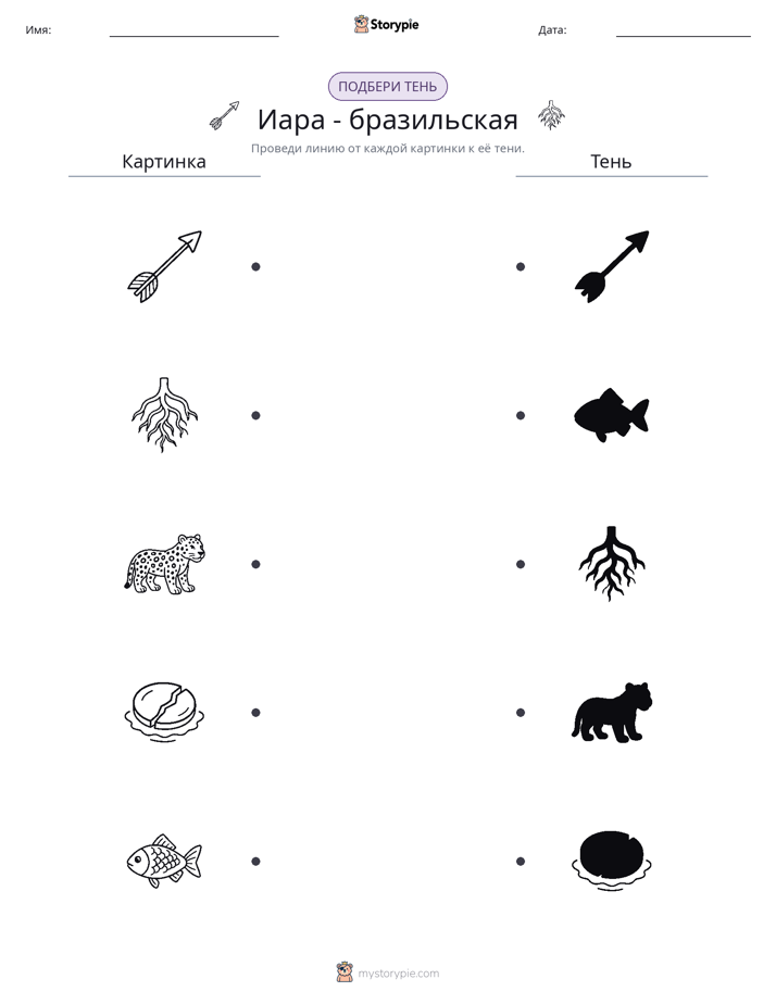 Сопоставление теней