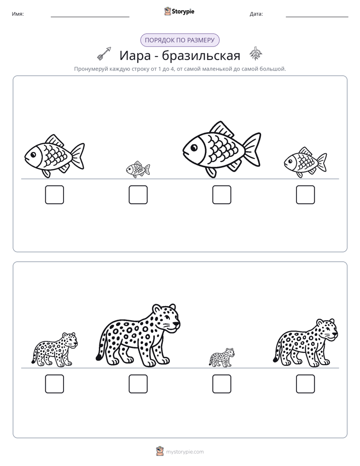 Размеры в порядке