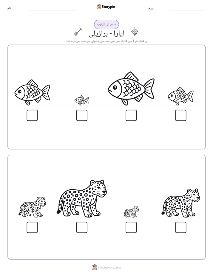 سائز کی ترتیب