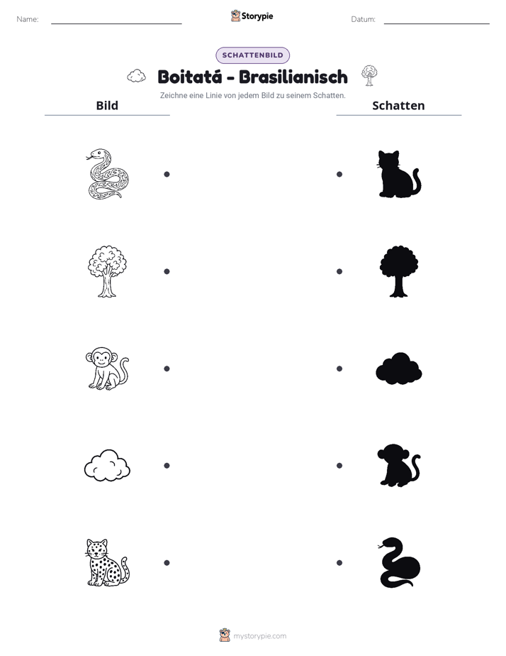 Schattenmatch