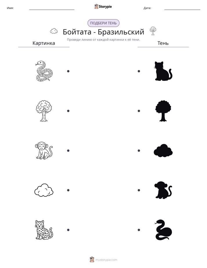 Сопоставление теней