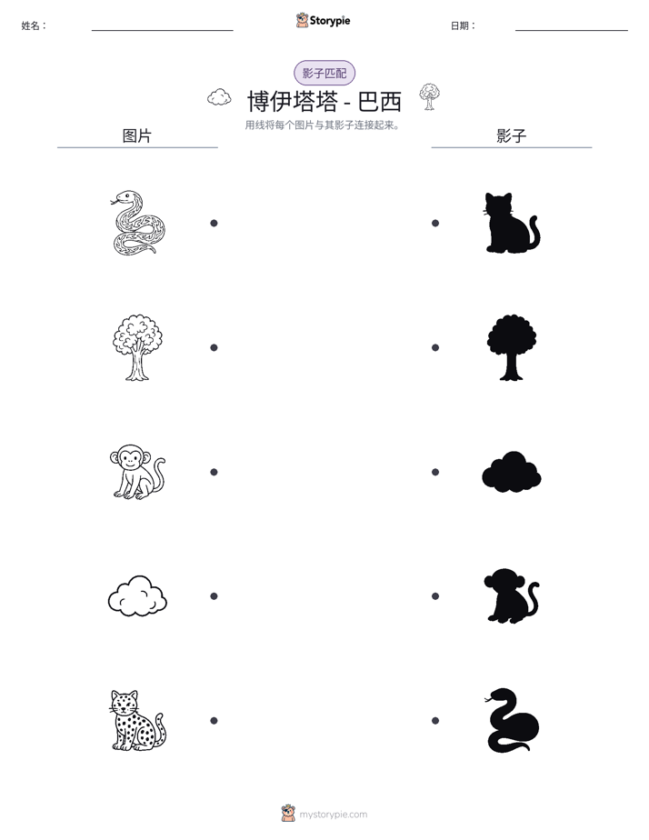 影子匹配