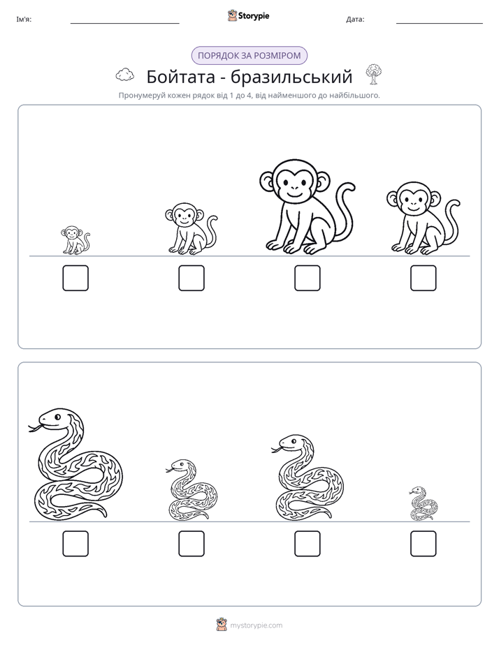 Порядок Розміру