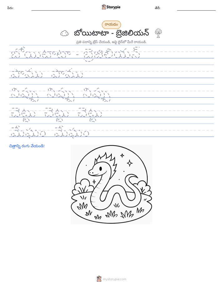రాయడం సాధన