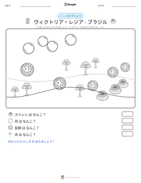 ヴィクトリア・レジア - ブラジル の印刷可能ワークシートプレビュー