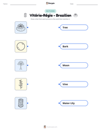 Vitória-Régia - Brazilian printable worksheet preview
