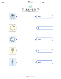 王莲 - 巴西 可打印工作表预览
