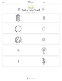 معاينة ورقة العمل القابلة للطباعة فيتوريا ريجيا - برازيلية