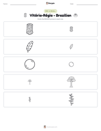 Vitória-Régia - Brazilian printable worksheet preview