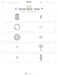 비토리아-헤지아 - 브라질 인쇄 가능한 워크시트 미리보기
