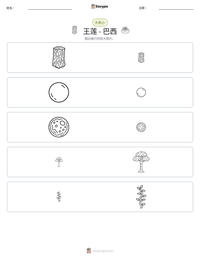 王莲 - 巴西 可打印工作表预览