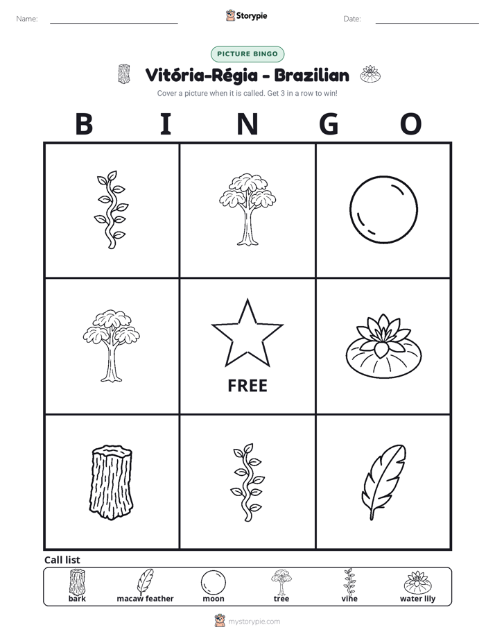 Picture Bingo