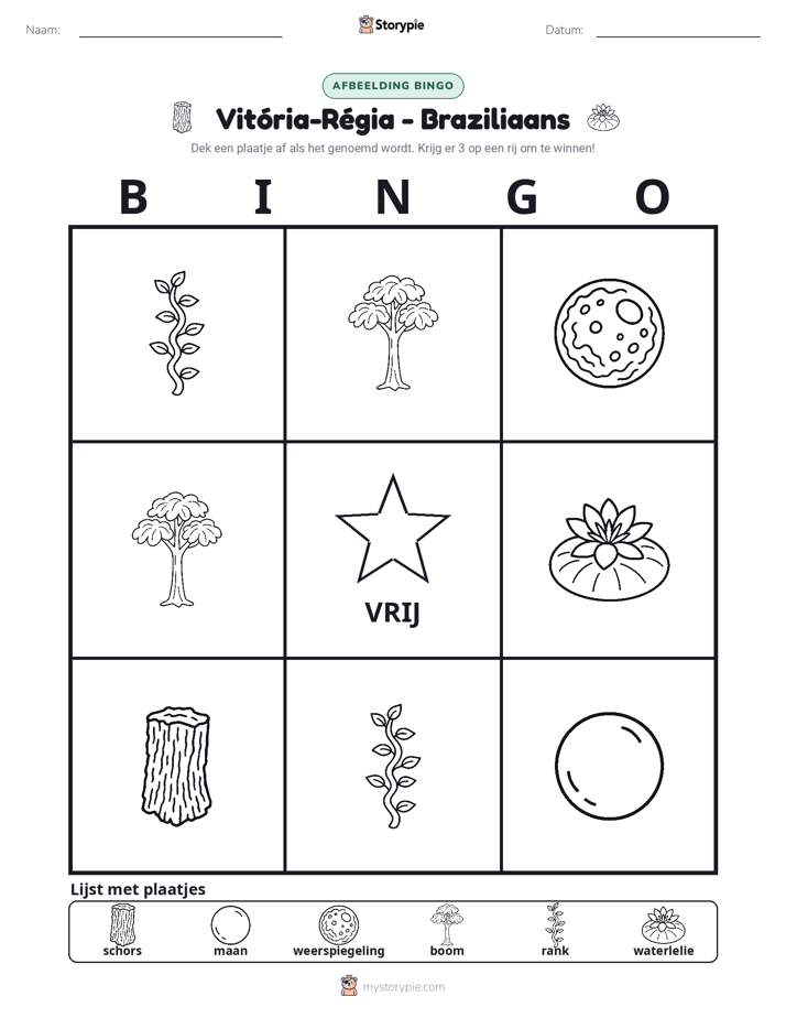 Afbeelding Bingo