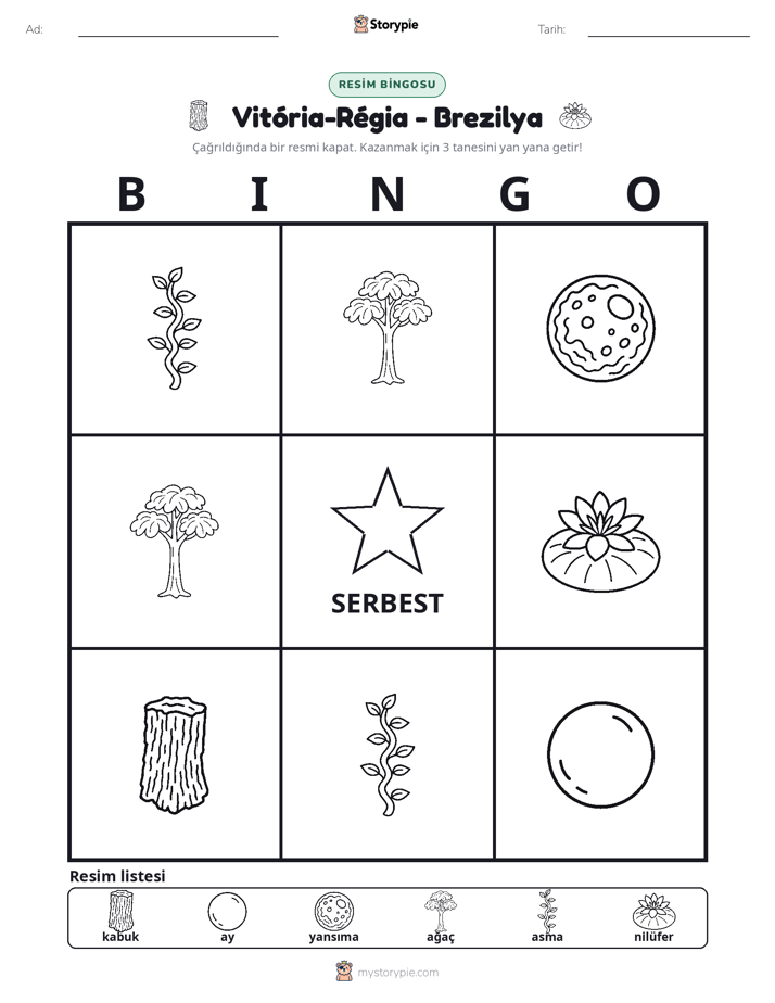Resim Bingo