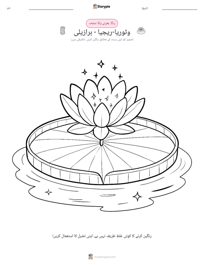 رنگ بھرنے کا صفحہ